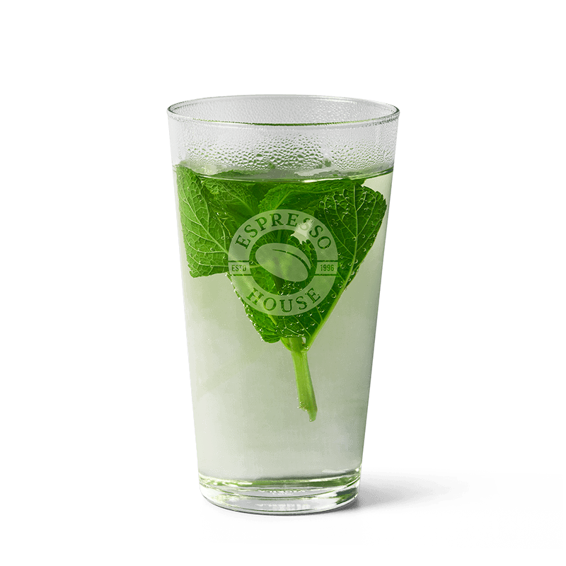 Fresh Mint Tea